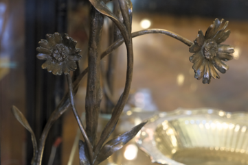 Dsf5541 edited edited