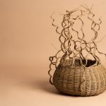 Wonders of Willow