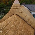 Pembrokeshire Thatch and Carpentry Services