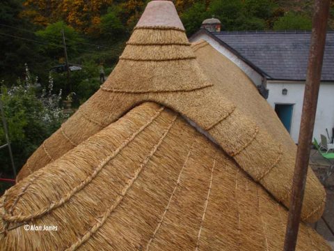 Pembrokeshire Thatch and Carpentry Services